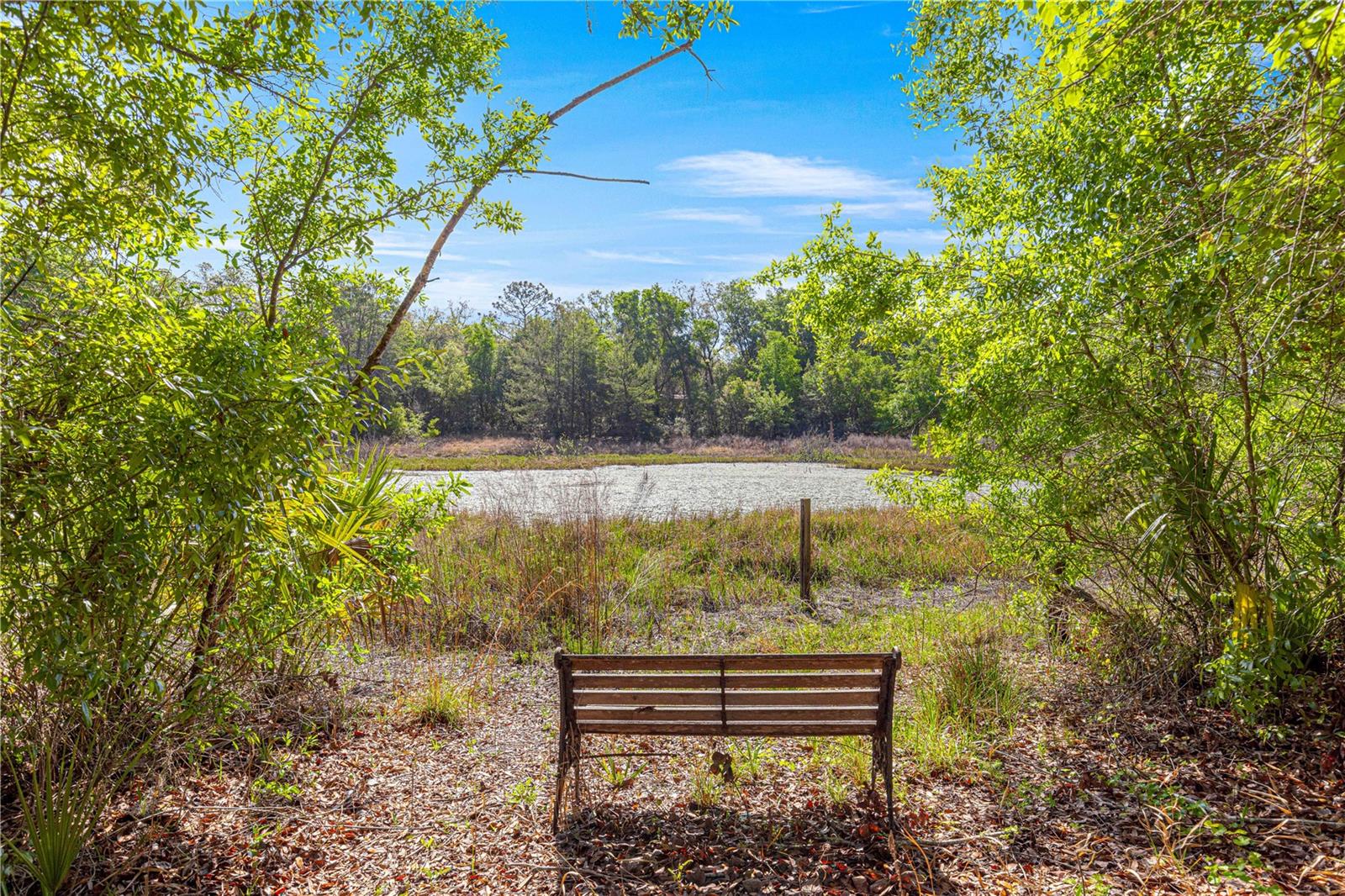 FOREST LAKES PARK - Residential