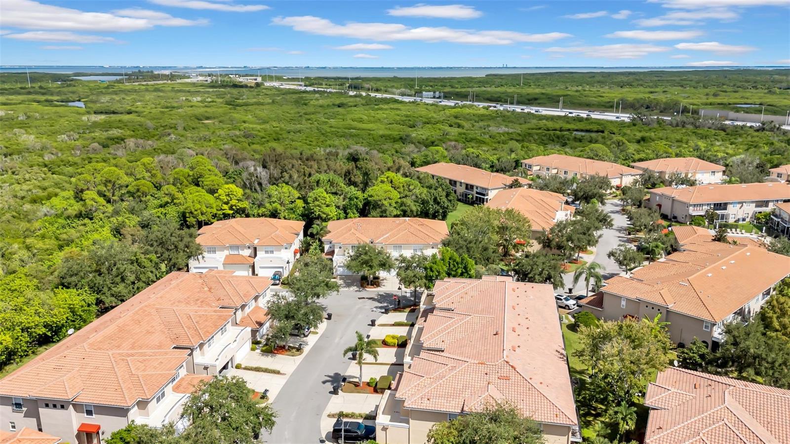 VILLAS OF CARILLON - Residential