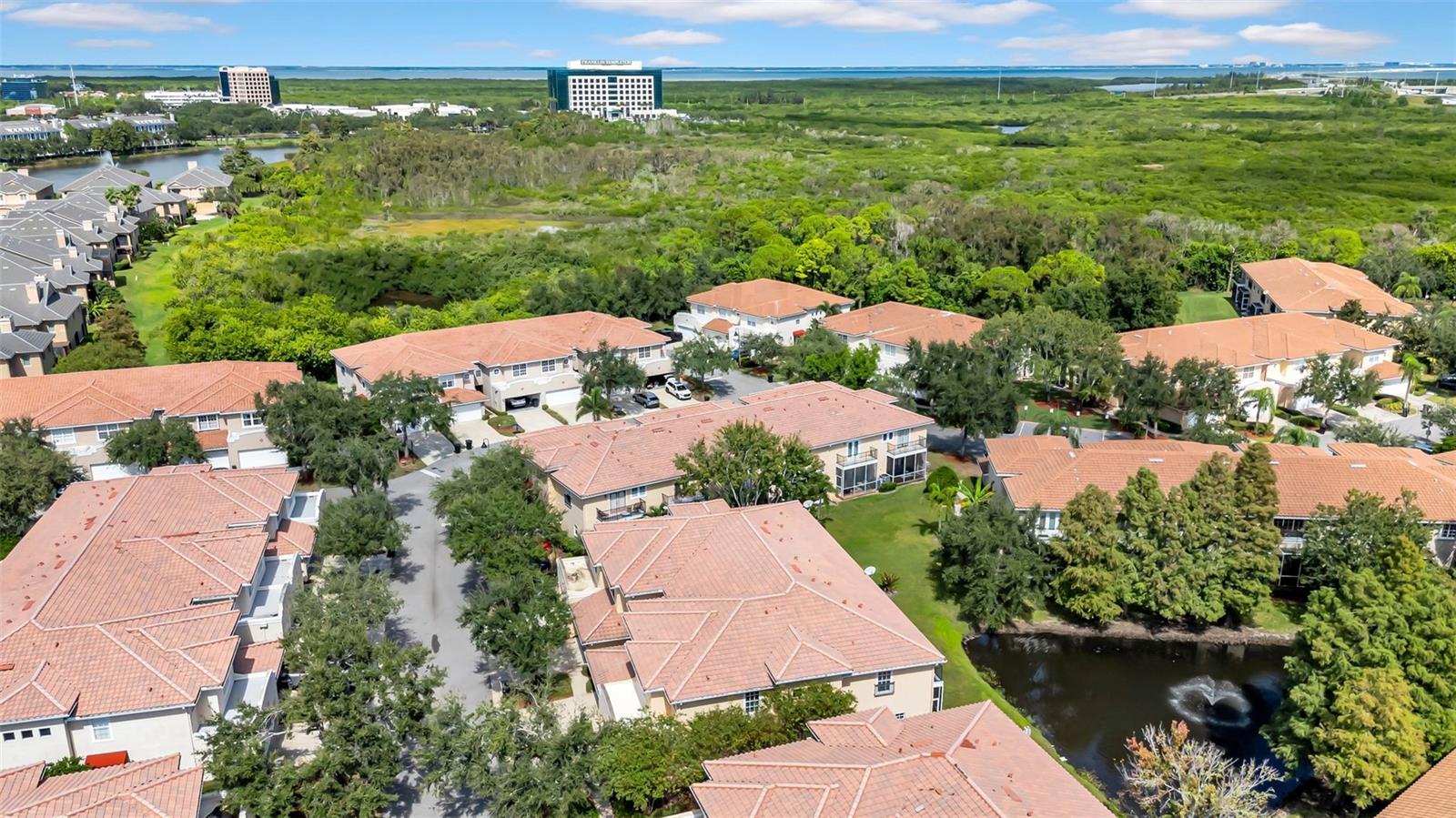 VILLAS OF CARILLON - Residential
