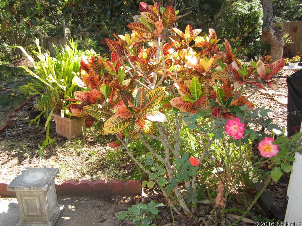 Bayberry - Residential