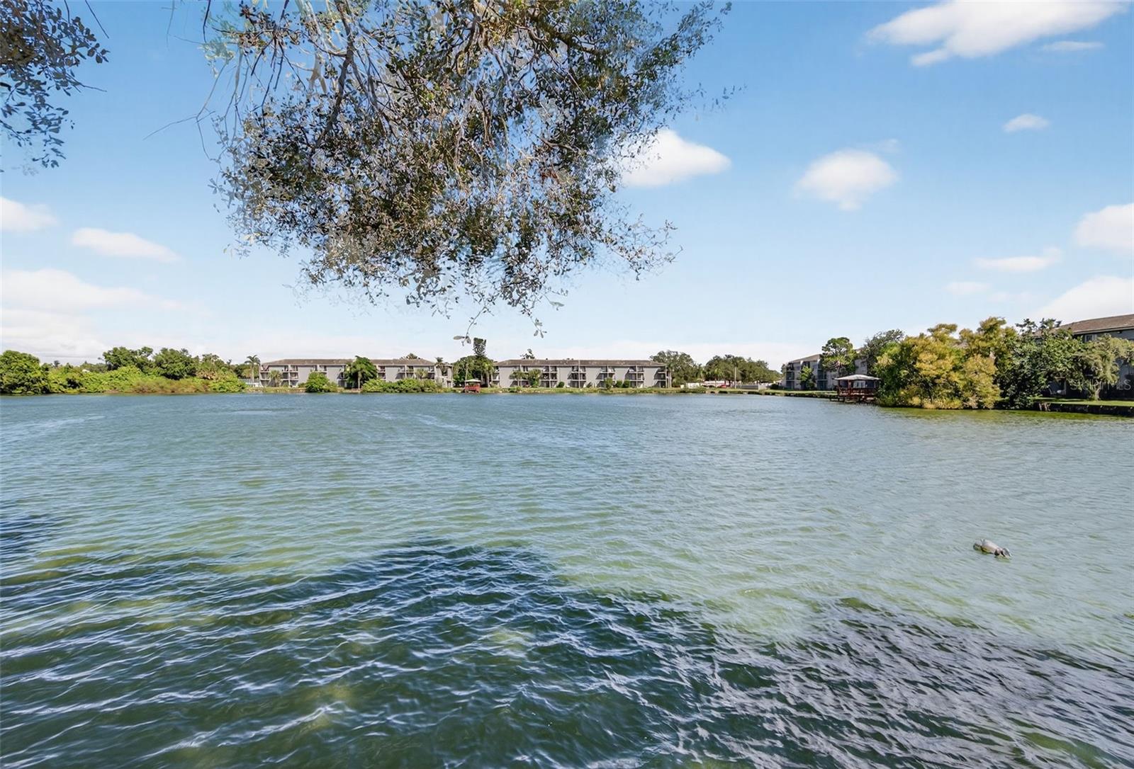 WATERS EDGE 4 CONDO - Residential