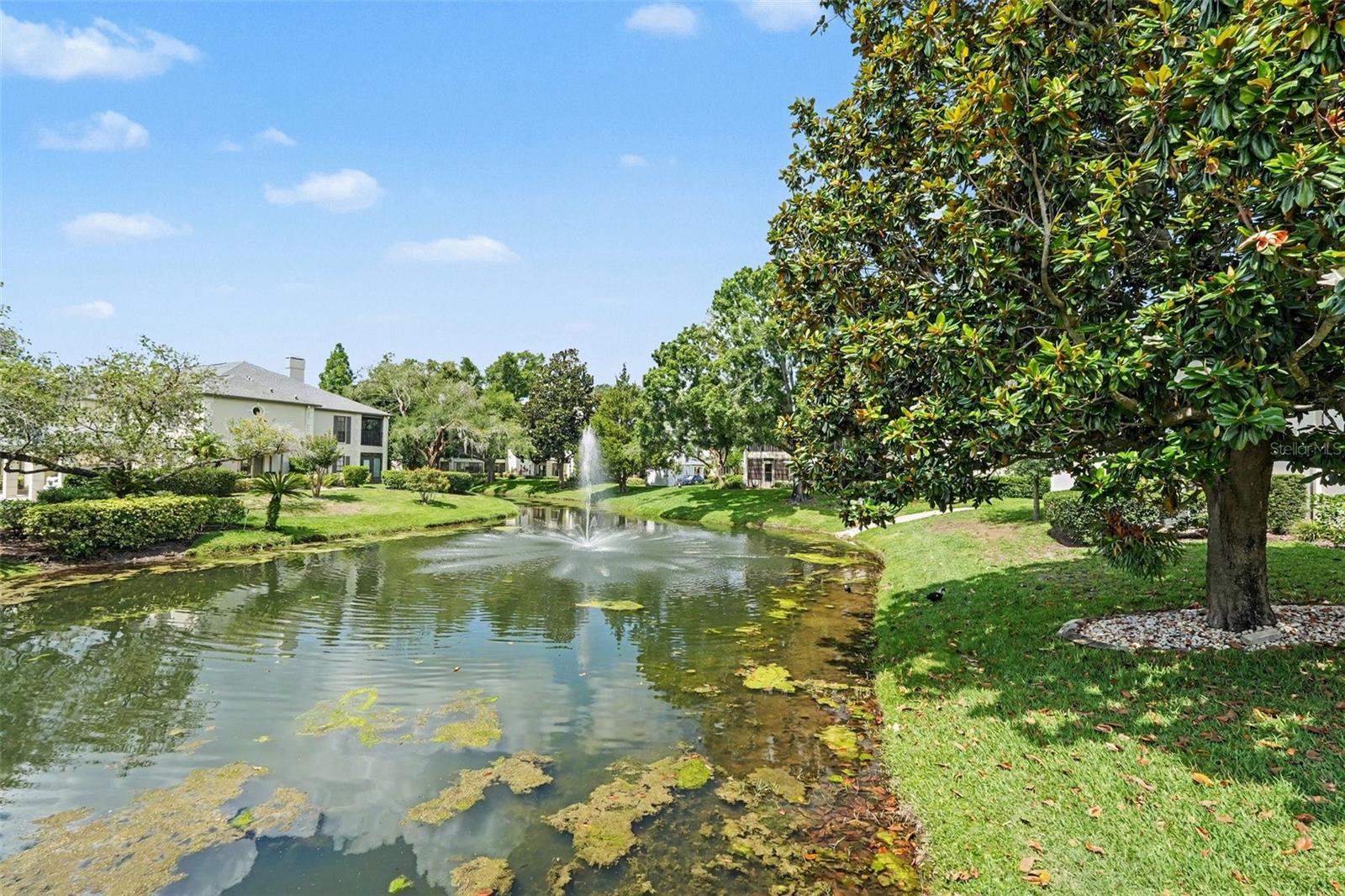 CARROLLWOOD VILL CHASE PH 8 - Residential