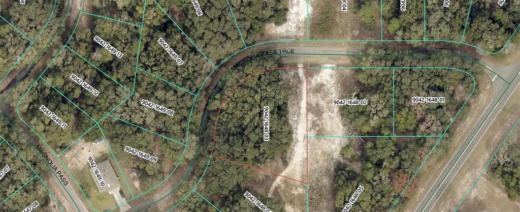 Photo of Magnolia Pass Trace, Ocklawaha, FL 32179 (MLS # W7878677)