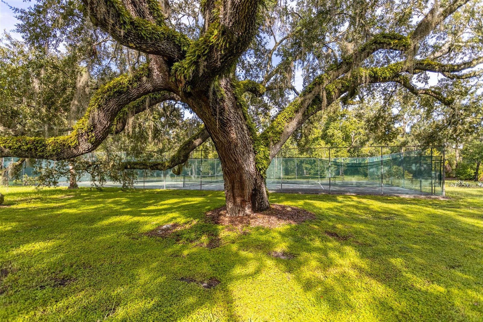 VISTA DEL RIO - Residential