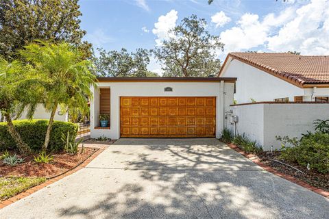 11407 ORILLA DEL RIO PLACE TEMPLE TERRACE FL 33617