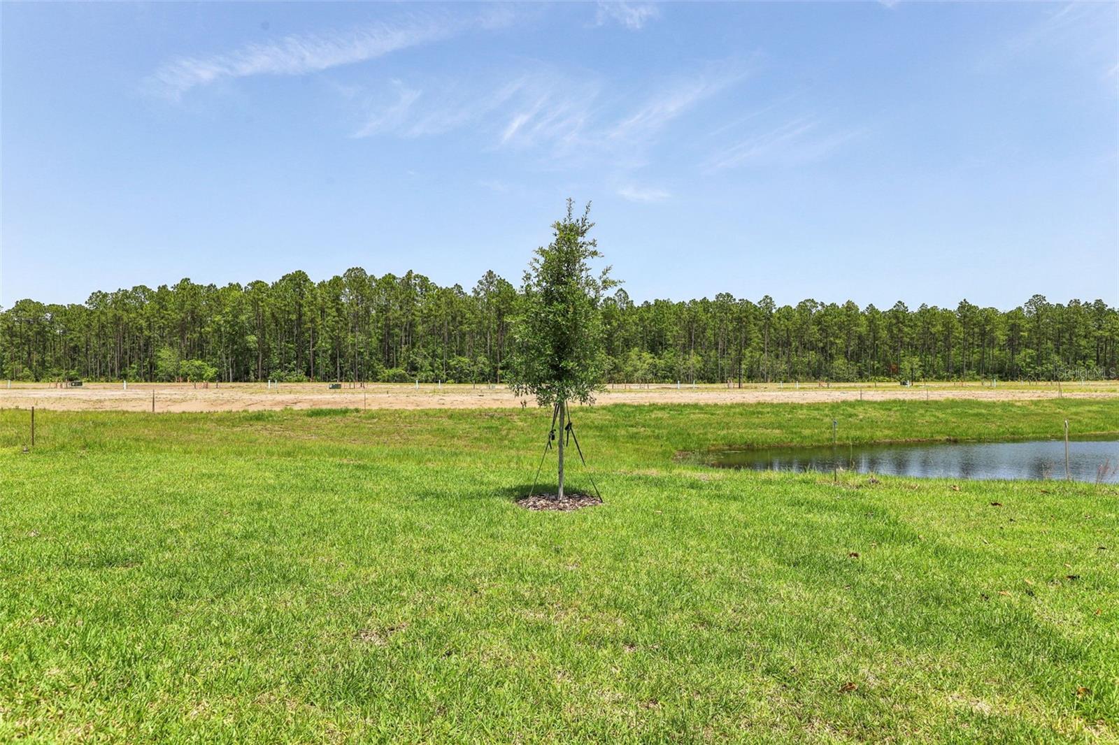 FLAGLER VILLAGE - Residential