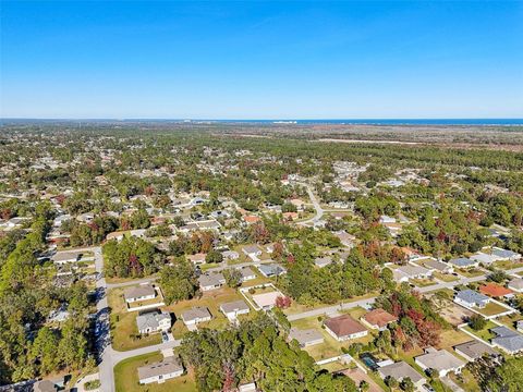 A home in PALM COAST