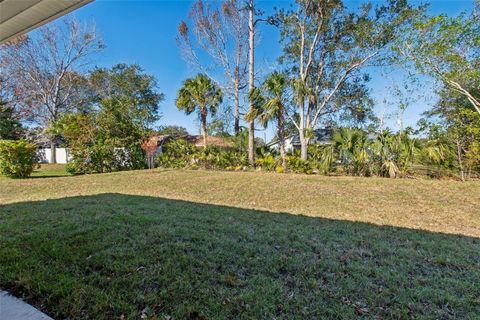 A home in PALM COAST