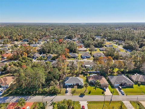 A home in PALM COAST