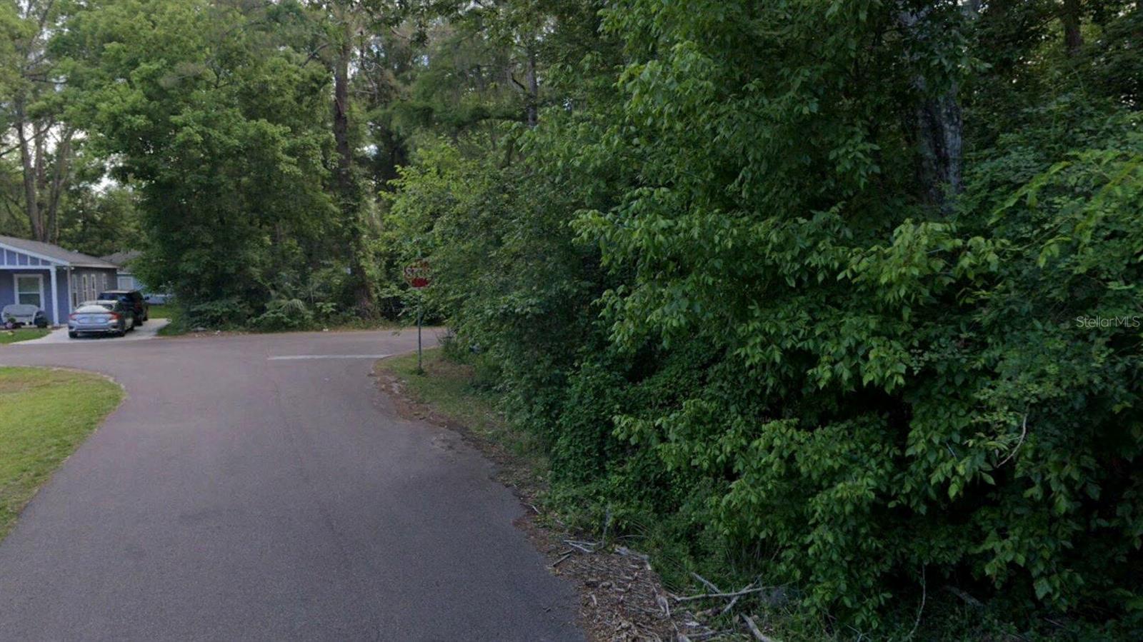 NEW GV ROSEMARY SUB REP - Land