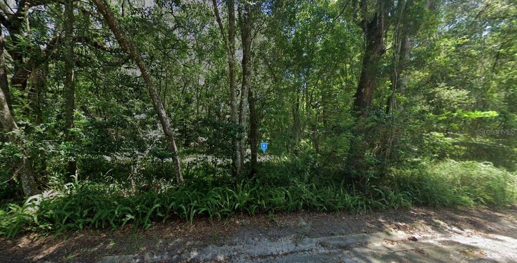 Photo of 101 SW 6th Street, Micanopy, FL 32667 (MLS # A4678507)