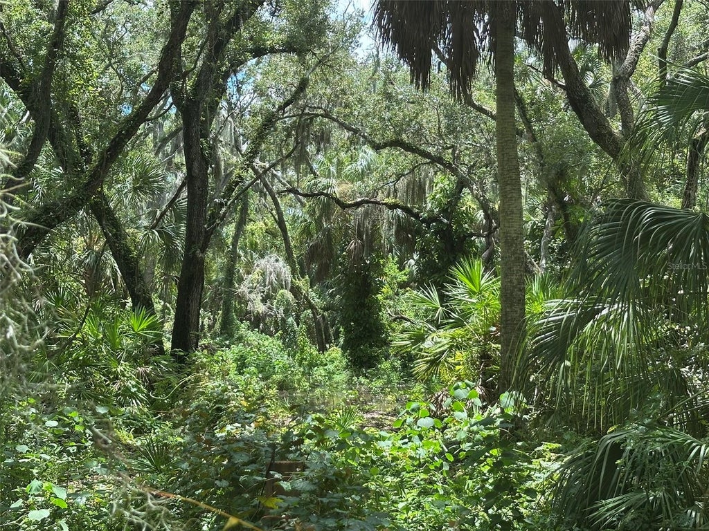 Photo of 1676 Hermosa Drive, Palm Harbor, FL 34683 (MLS # TB8541393)