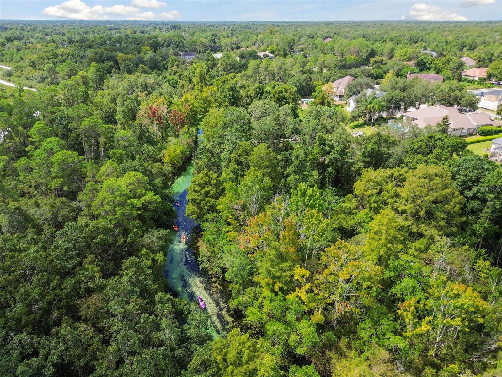 WATERS OF WEEKI WACHEE - Land