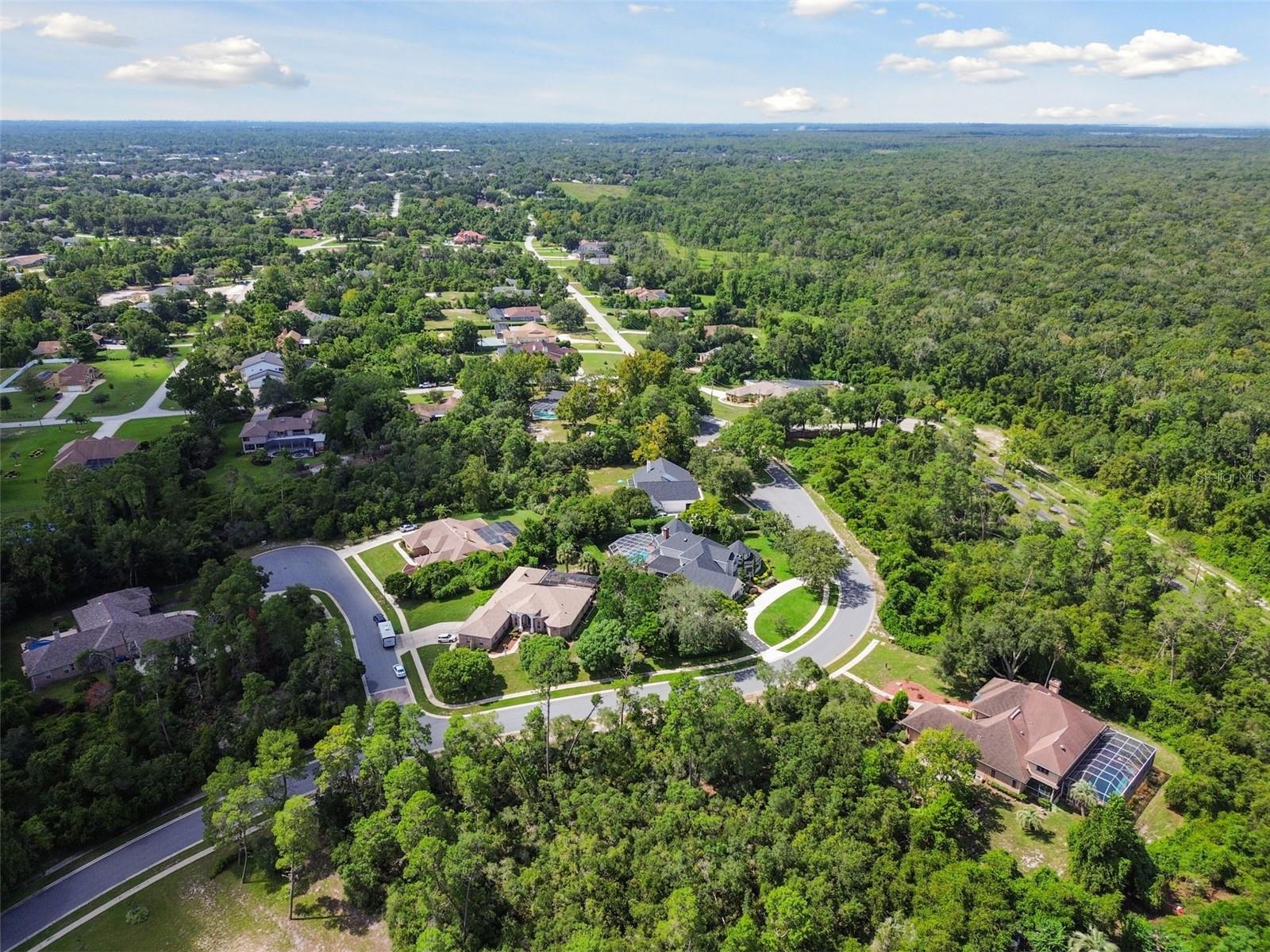 WATERS OF WEEKI WACHEE - Land