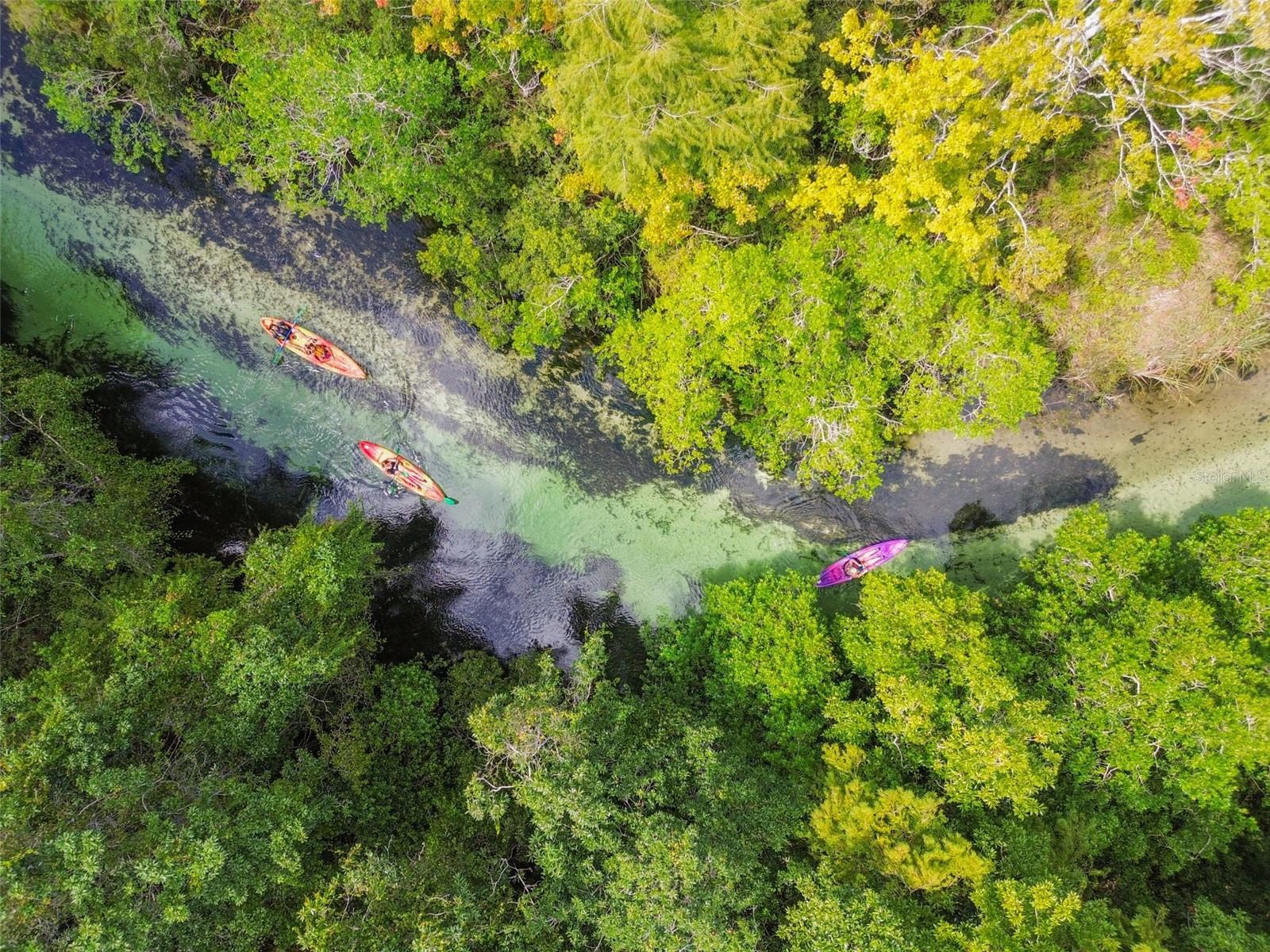 WATERS OF WEEKI WACHEE - Land