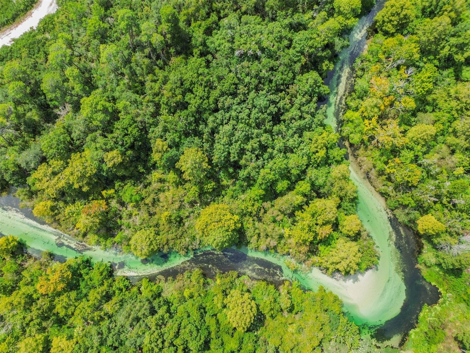 WATERS OF WEEKI WACHEE - Land
