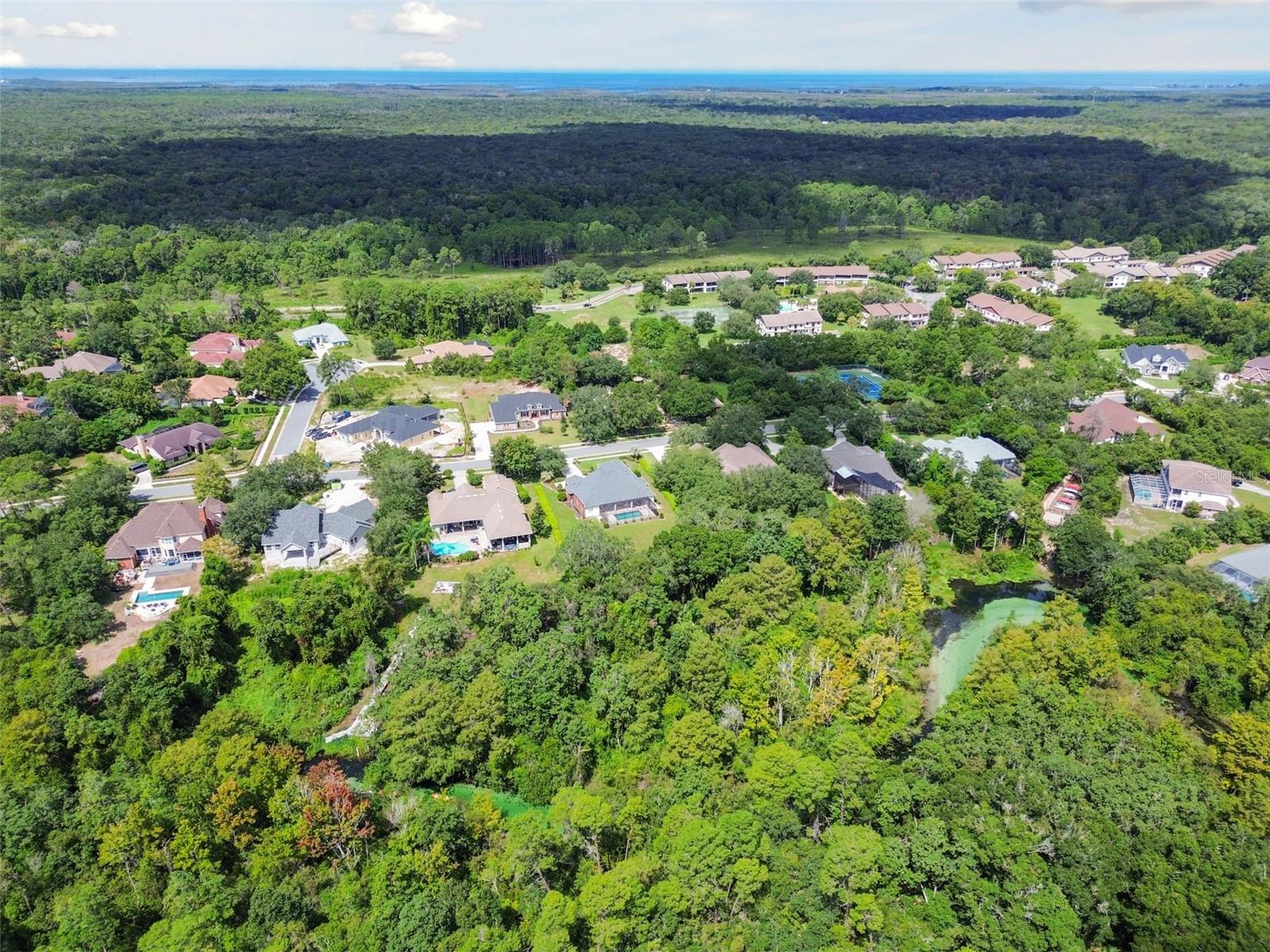 WATERS OF WEEKI WACHEE - Land