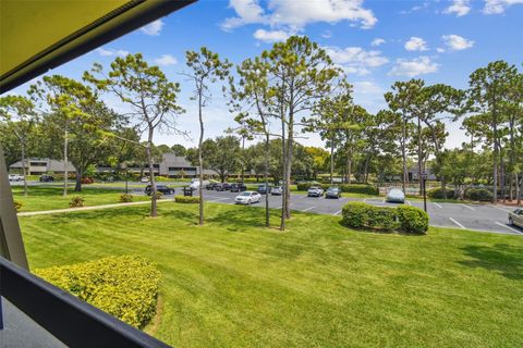 A home in PALM HARBOR