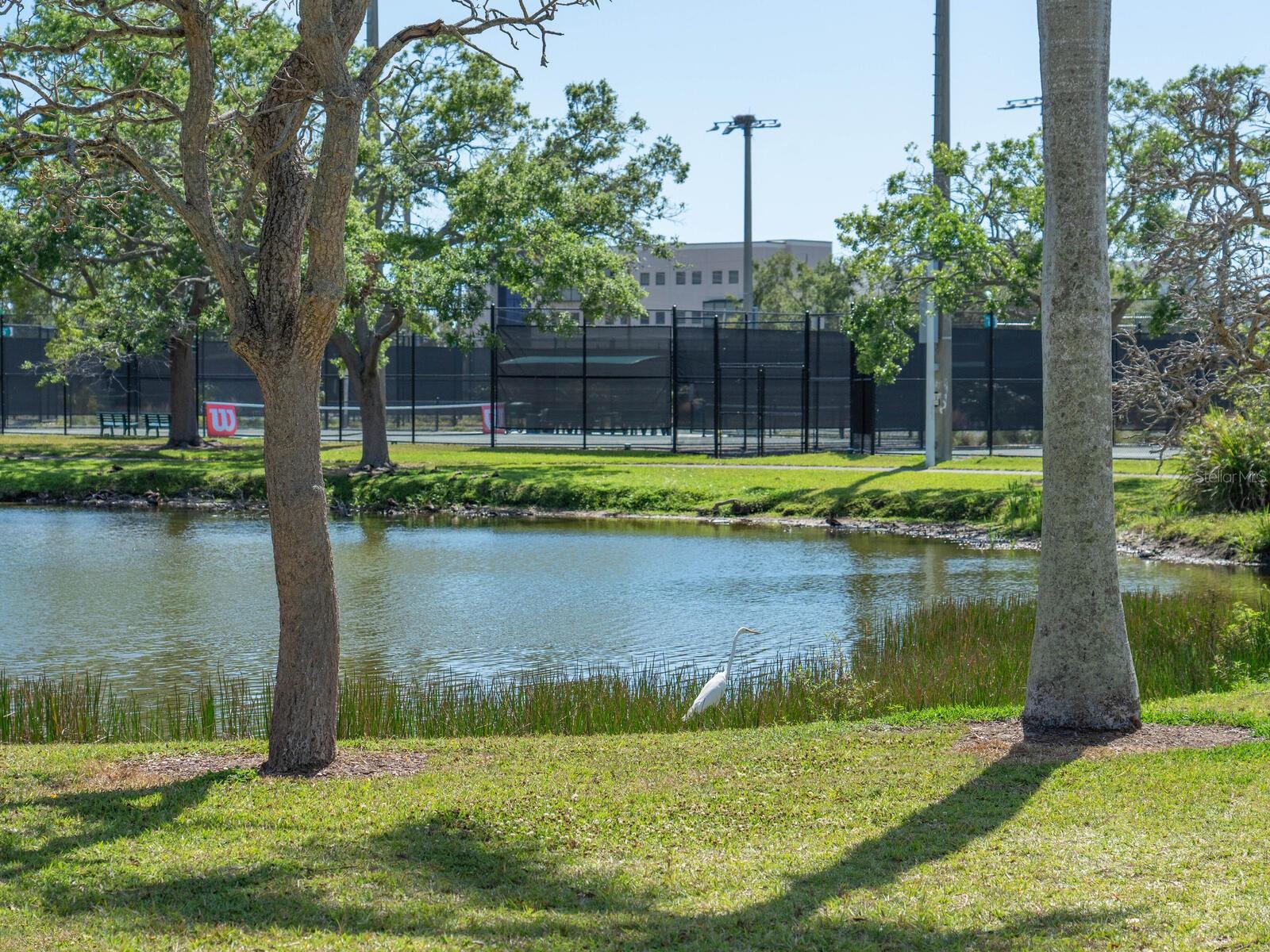 PREMIER ON MAIN - Residential