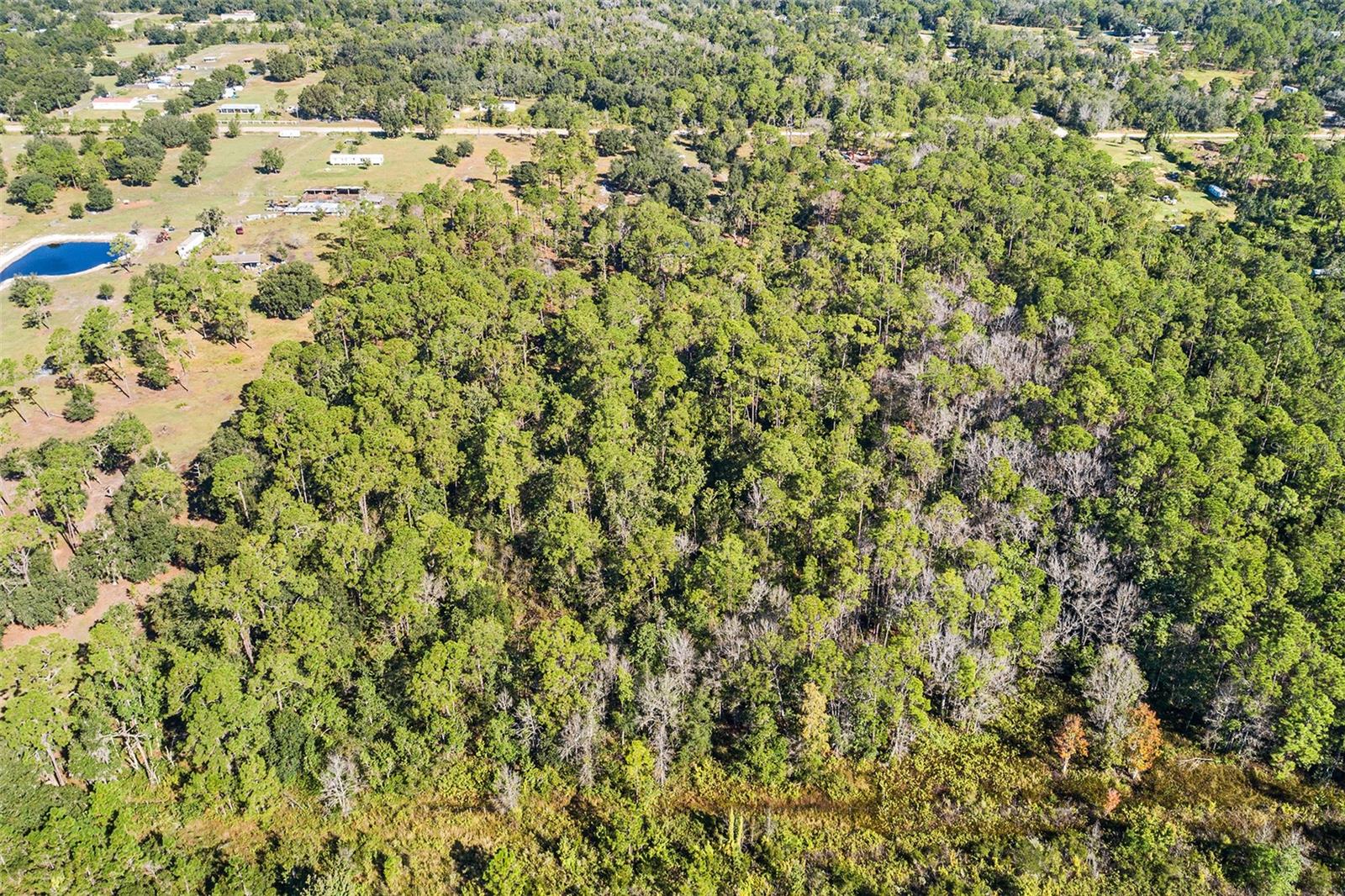 OAKRIDGE ESTATES - Land