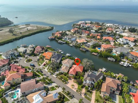 A home in APOLLO BEACH