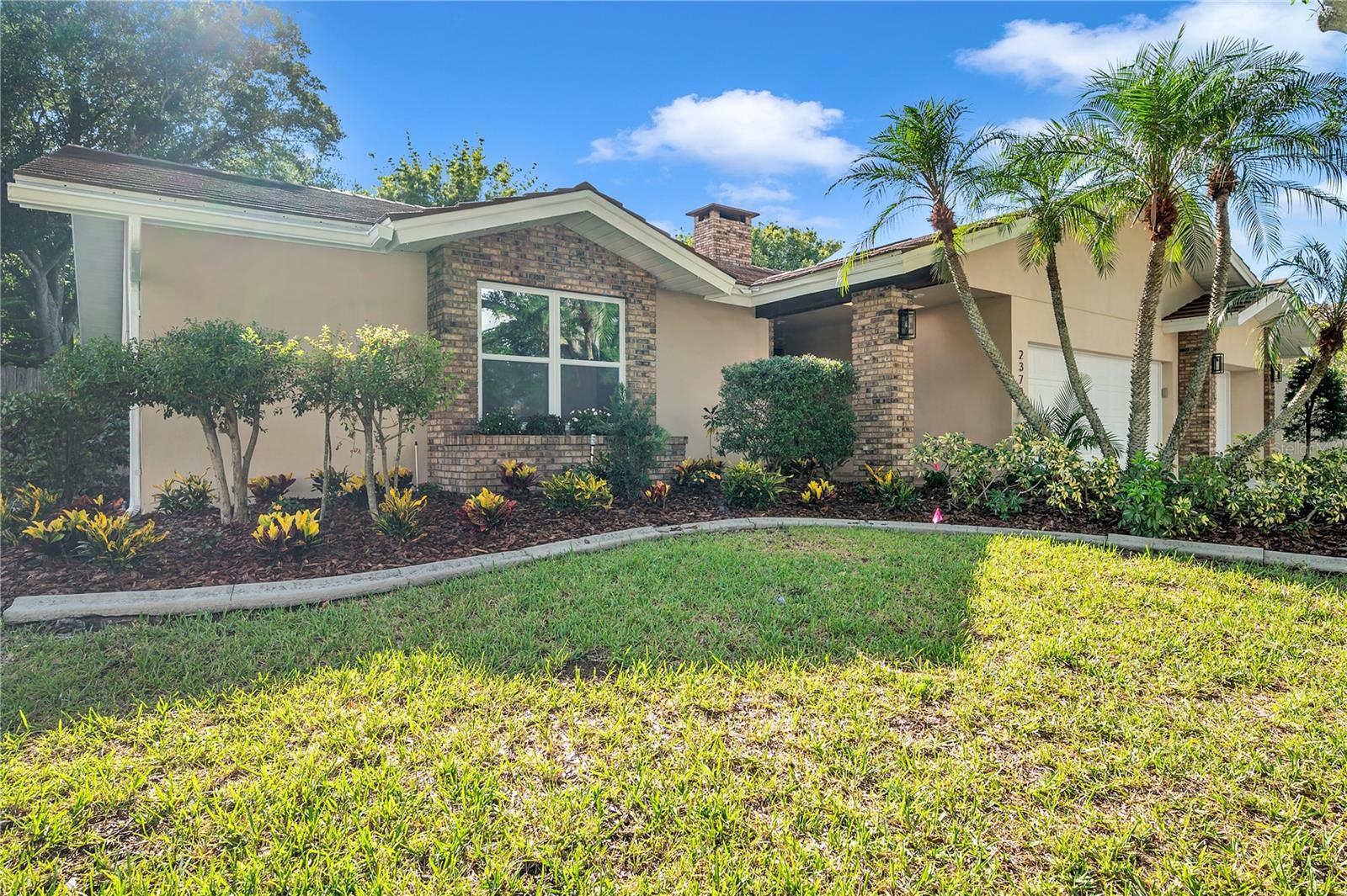 View CLEARWATER, FL 33759 house