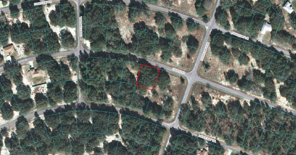 Photo of 00 Fisher Terrace, Ocklawaha, FL 32179 (MLS # OM523127)