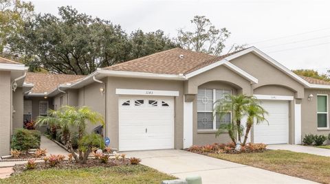 A home in PALM HARBOR