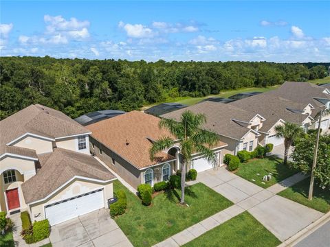 A home in KISSIMMEE