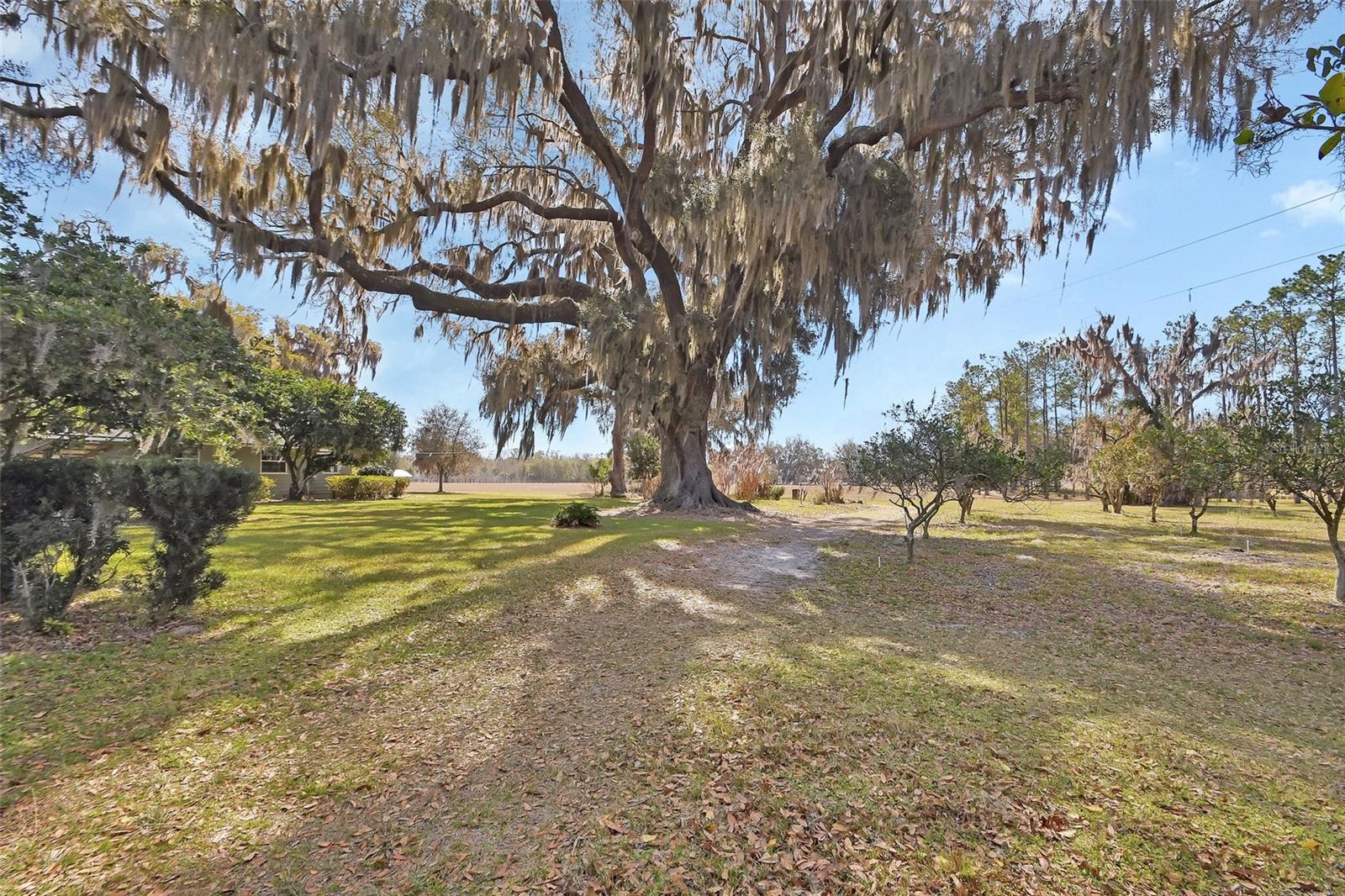 1403 BLACKWELDER ROAD