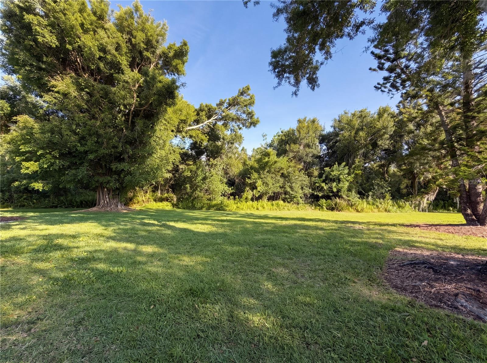 TATUM RIDGE - Residential