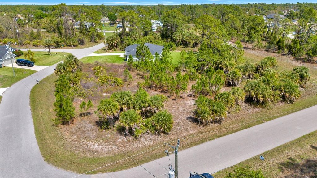 Photo of Amnesty Drive, North Port, FL 34288 (MLS # A4689200)