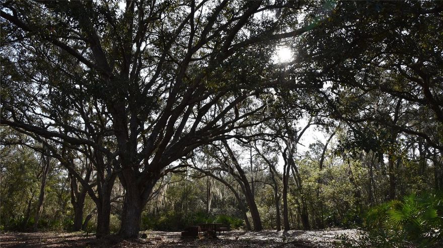 This secluded, large-acreage tract offers the privacy, habitat, and versatility serious outdoorsmen and land investors are searching for. Tucked away at the end of a dead-end road, this property delivers true seclusion with no through traffic and added privacy from nearby state land to the south. A well-established internal road system provides excellent access throughout, making it easy to navigate the property for hunting, recreation, or land management. The landscape features an ideal blend of open ground, mature oak stands, and pine timber - creating prime cover and natural travel corridors for wildlife. A seasonal creek winds through the property, serving as a natural water source and enhancing the already strong wildlife presence. Deer, turkey, and other game thrive in this diverse habitat, making it a standout recreational and hunting tract. Cross-fencing and an existing well add versatility, allowing the property to be utilized for a small farm or homestead while still maintaining its recreational appeal. Whether you’re looking for a private hunting retreat, weekend escape, or multi-use rural property, this tract is set up right and ready to enjoy. Please call with any questions or to schedule a showing.