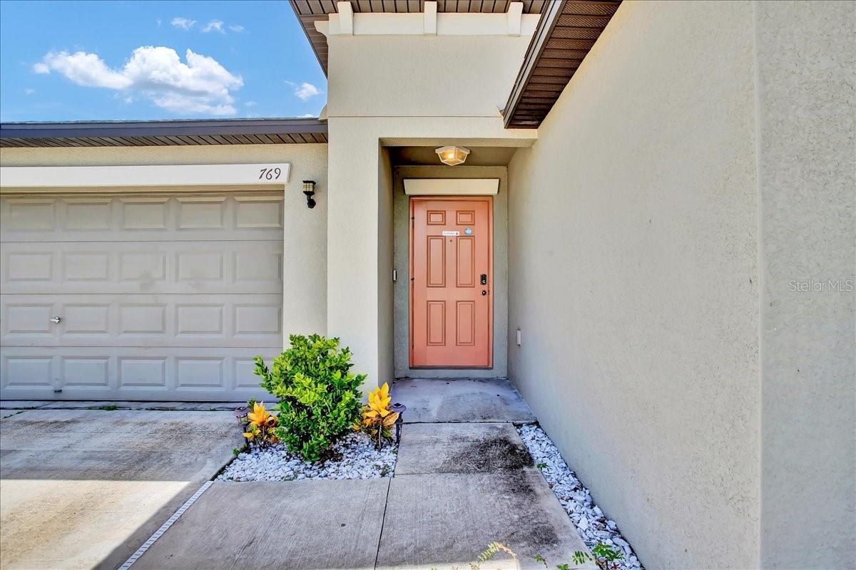 769 CALICO SCALLOP STREET