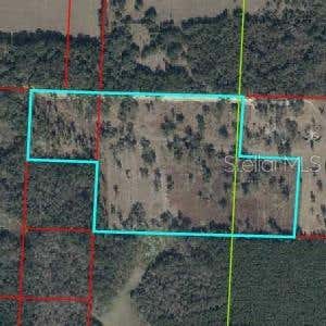Photo of NE 172nd Court, Williston, FL 32696 (MLS # O6419938)