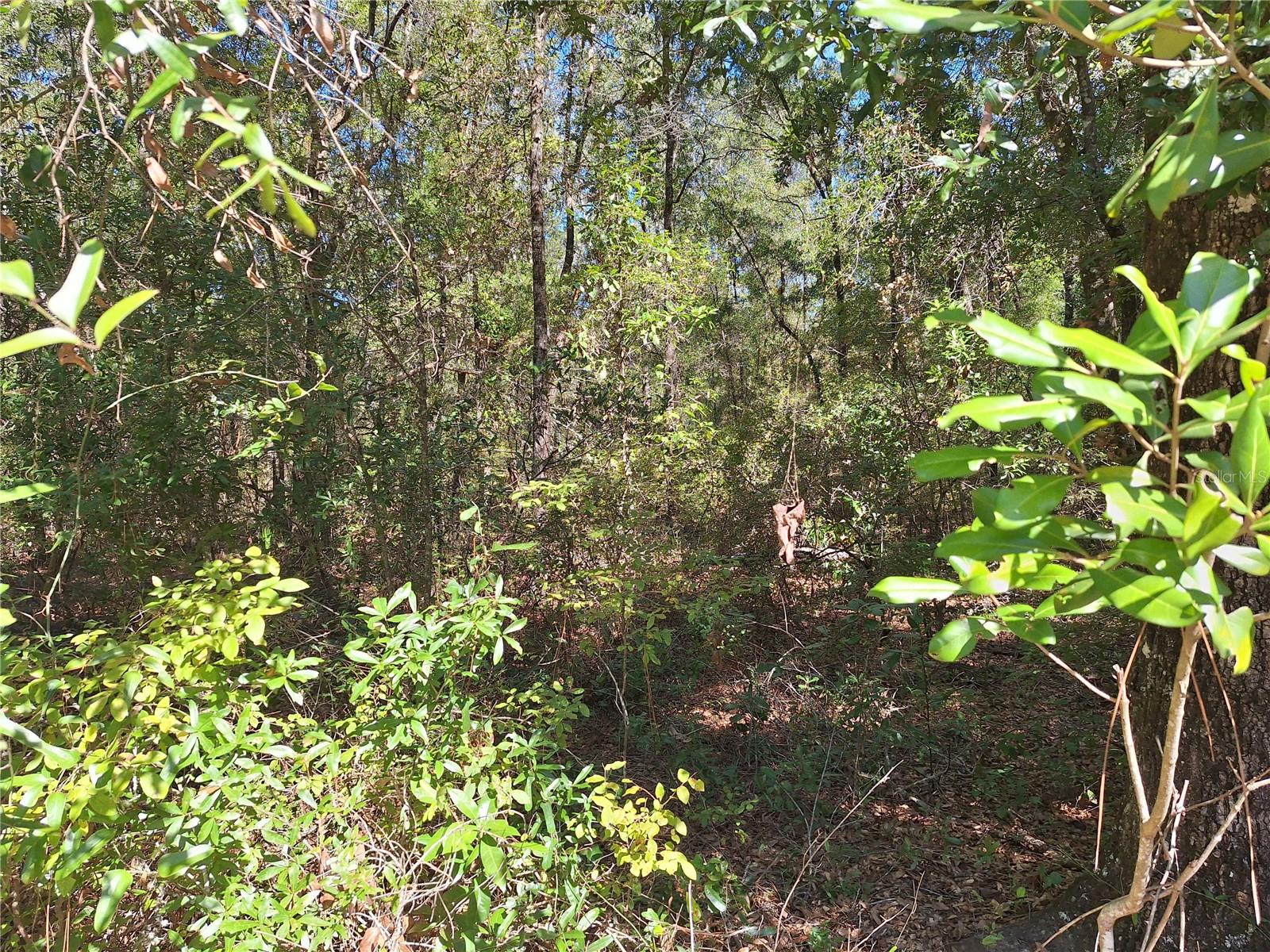 000 SW COUNTY RD. 138