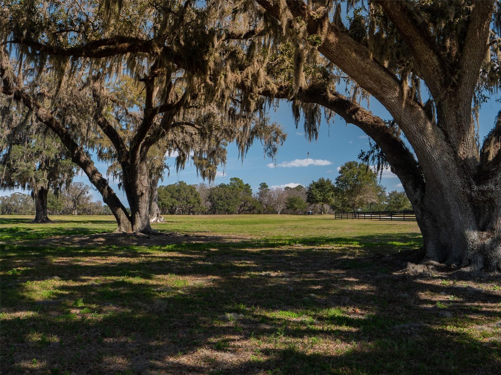 This 100+ acre property is located in the Farmland Preservation Area of NW Ocala's esteemed horse country; it’s less than 10 minutes to the renowned World Equestrian Center, and around the corner from Golden Ocala Country Club. World class horse events, great food and drink, and endless festivities will be at your fingertips at the WEC. Loaded with mature oaks, and lush green rolling pastures, this farm provides a perfect opportunity to bring to reality the farm you've only envisioned until now! There is a paved drive up the hill to what could be a beautiful homesite. But if that is not what you had in mind, there are plenty of other great locations to build your home and barn, and arena. There is plenty of room for it all. Bring your horses, trainers, groomers - there's room for them all; this property is perfect for any discipline. Additional acreage is available.
