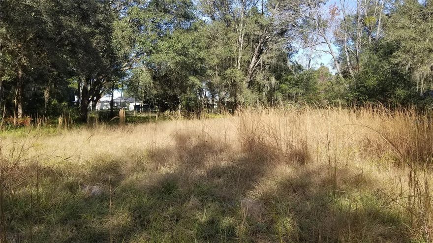 Here is your chance to escape to the country on this beautiful, cleared lot that's waiting for you to add your home and your personal touch to it! It's a hidden gem that holds many promises. Though located in a rural setting, it's also just close enough to all the necessary amenities such as grocery stores, banks, hospitals, hunting, fishing, and so much more. Nearby are the cities of Gainesville, Ocala, and Bronson (the County Seat}, as well as the quaint, beautiful town of Cedar Key on the Gulf of Mexico. And if you want to head on down to Orlando's tourist attractions; or Daytona Beach and Tampa Bay; or even up north to Jacksonville or historic St. Augustine for some beach fun, touring, or shopping, this rural haven is close enough to make all of those destinations a day-trip! And at the end of the day, whether you've been at work or away having a great time, you'll have this quiet somnolence to return to. Nothing left to do afterwards but sit on the porch of your lovely new home and watch the deer, wild turkeys, and other nearby wildlife stroll pass the haven that you've built. Don't miss this opportunity to own this beautiful, pastoral acreage where you can start making your dreams into a reality!