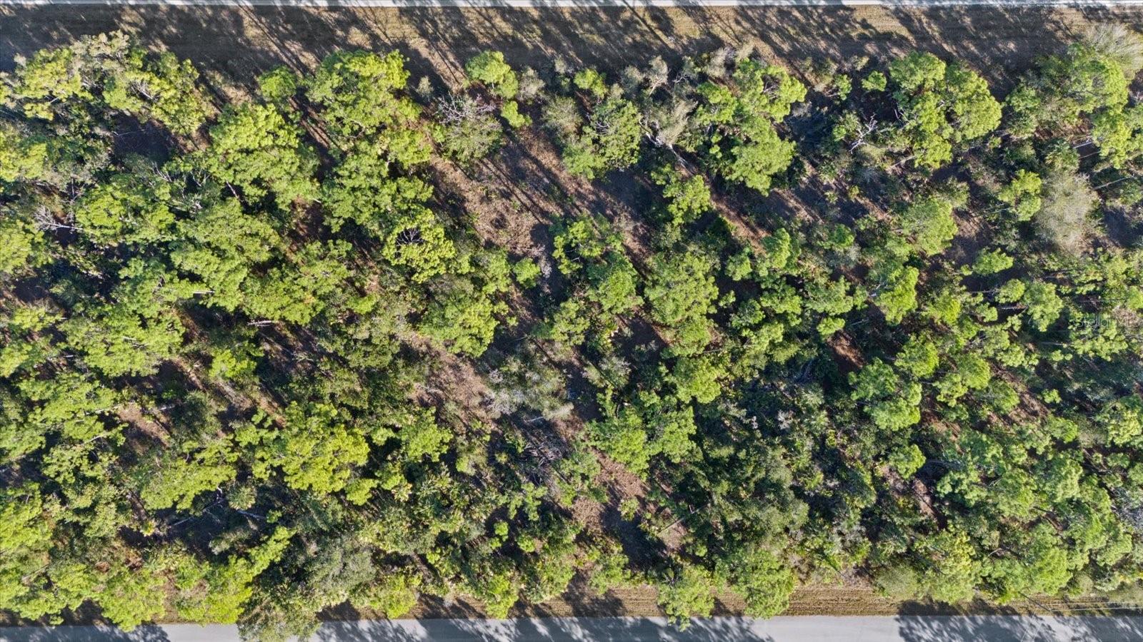 PORT CHARLOTTE SEC 048 - Land