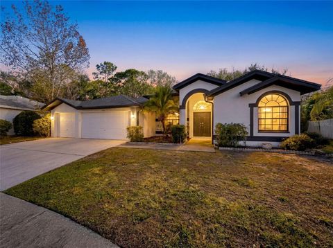 10006 VISTA POINTE DRIVE TAMPA FL 33635