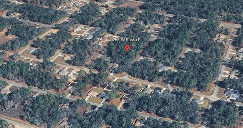 Tiny photo for 255 W Ruska Place, Citrus Springs, FL 34434 (MLS # A4684630)