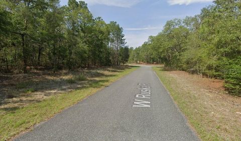 Tiny photo for 255 W Ruska Place, Citrus Springs, FL 34434 (MLS # A4684630)