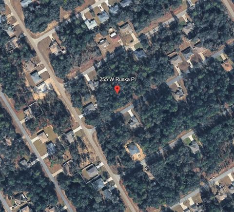 Tiny photo for 255 W Ruska Place, Citrus Springs, FL 34434 (MLS # A4684630)
