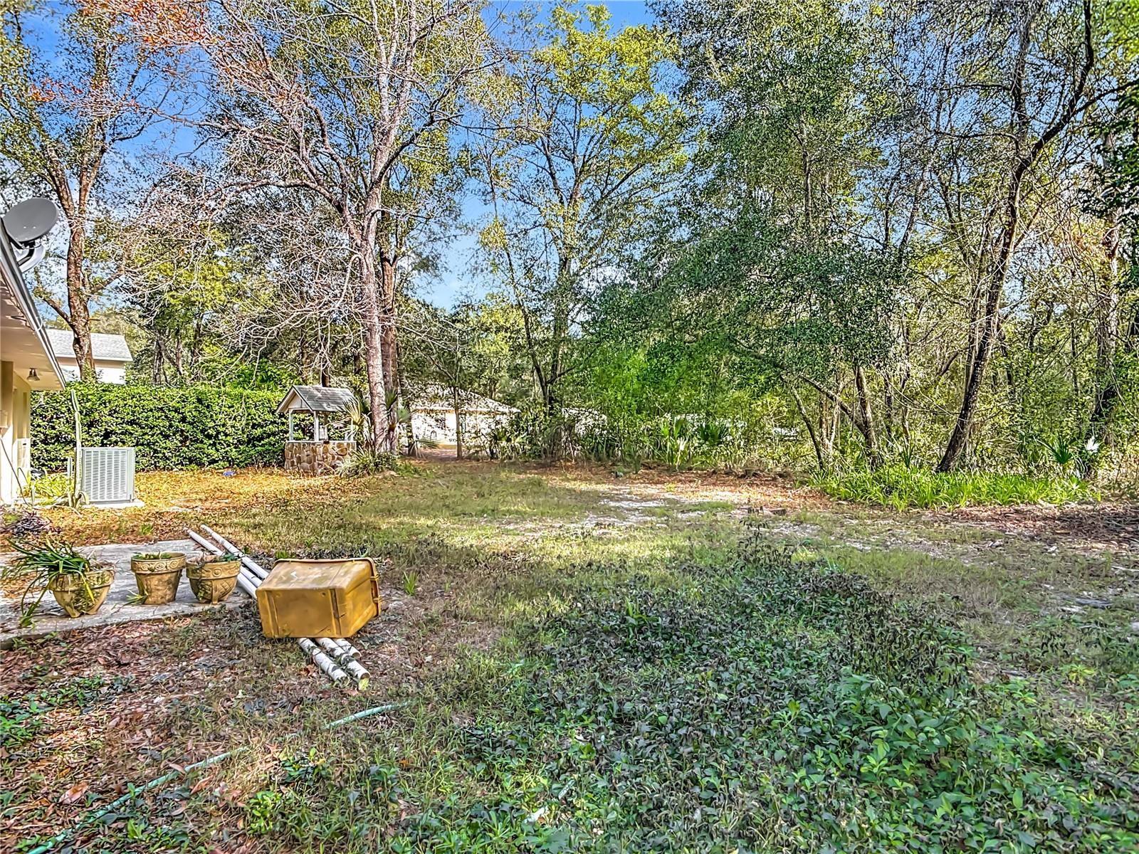 MOUNT PLYMOUTH - Residential