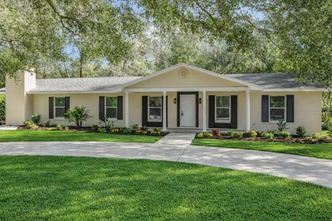 Photo of 31440 Prestwick Avenue, Sorrento, FL 32776 (MLS # TB8468640)