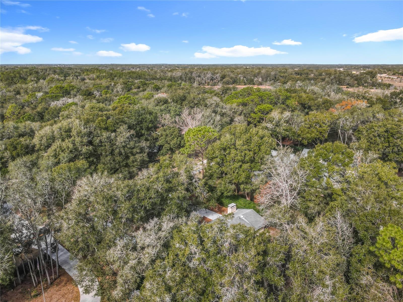 MOUNT PLYMOUTH - Residential