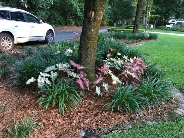 MAPLE HILL - Residential