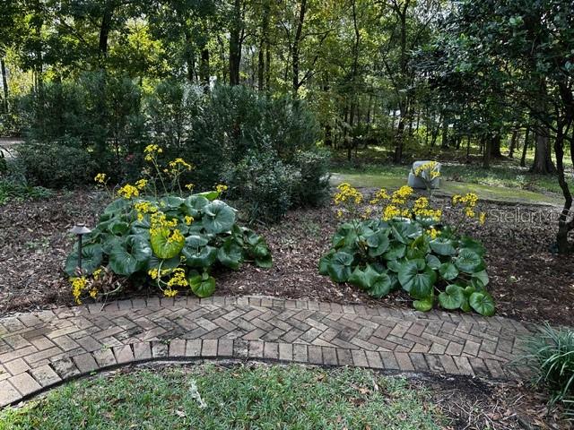 MAPLE HILL - Residential