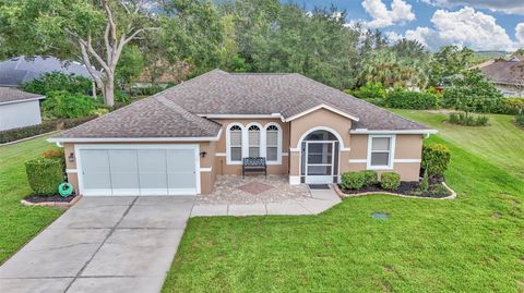 Photo of 5556 Grove Manor, Lady Lake, FL 32159 (MLS # NS1085920)