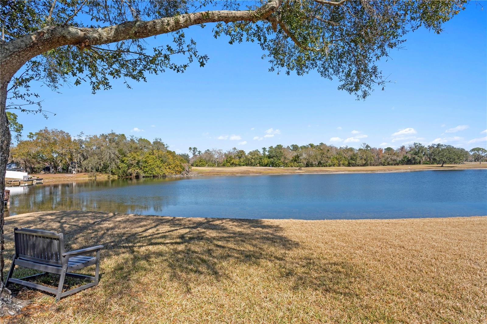 BLOOMINGDALE - Residential